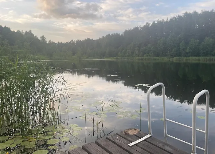 Vaehkjaerve Meegomae