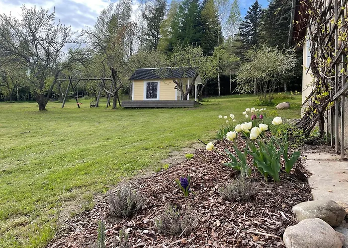 Vaehkjaerve Meegomae